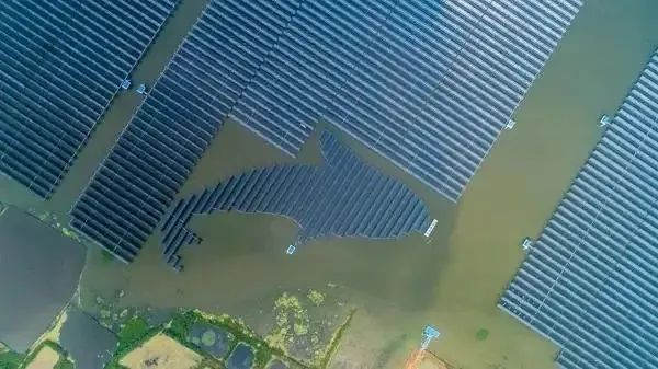 泗洪1000MW光伏領跑者項目被勒令拆除整改!