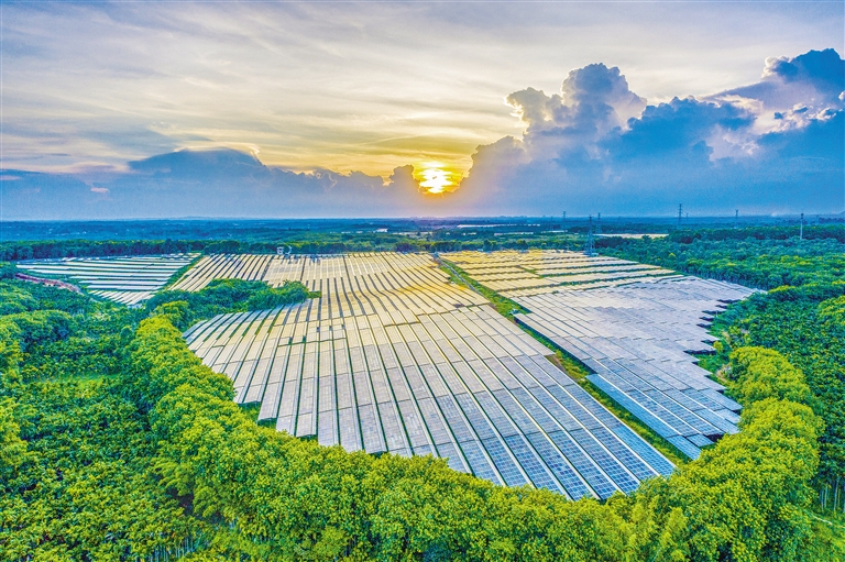 海南電網公司加快構建現代供電服務體系，驅動鄉村振興電力引擎