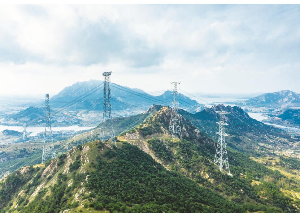 更好發揮能源電力的基礎保障性作用