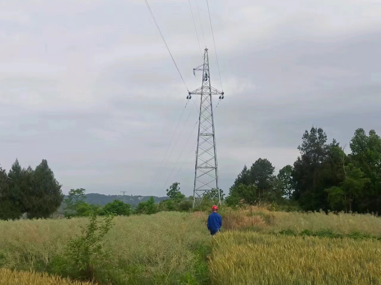 國網巴中供電公司加強特巡 保障汛期電網安全穩定運行