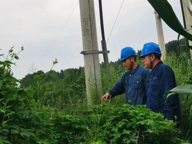 國網長春供電公司積極應對極端天氣，確保線路設備穩定運行