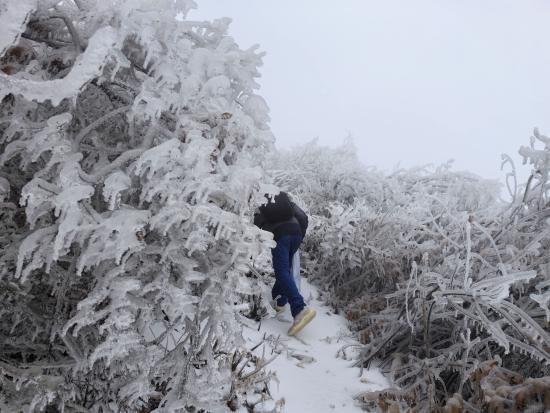 【新春走基層】迎雪而上攻堅行，奮戰不息護光明