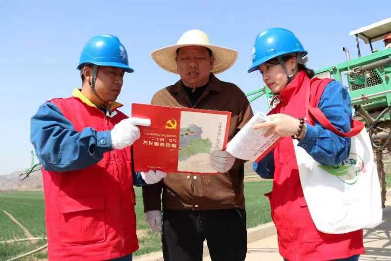 國網運城供電公司：春分百花鬧，電足麥香濃