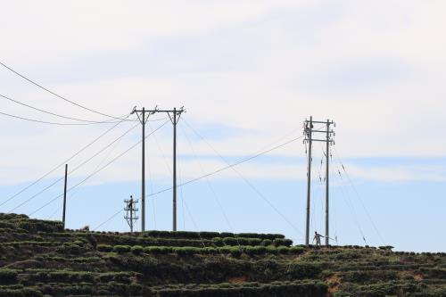國網壽寧縣供電公司政企聯動 安全有序推進電網建設項目