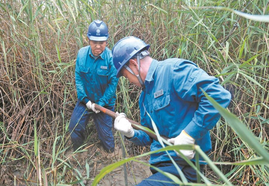 山東微山縣供電公司：湖區中央換拉線 一身濕透半身泥