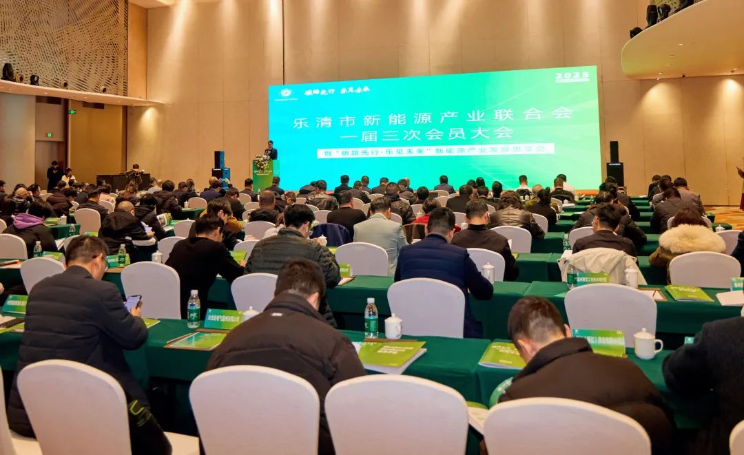 “碳路先行，樂見未來”新型電力系統思享會技術交流活動在樂清舉辦