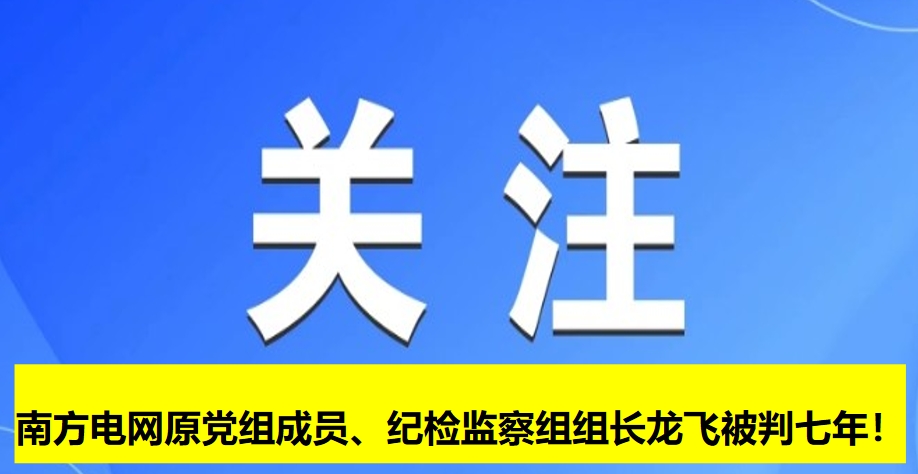 南方電網原黨組成員、紀檢監(jiān)察組組長龍飛被判